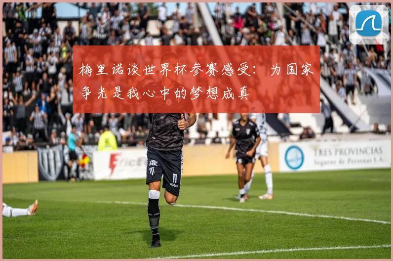 梅里诺谈世界杯参赛感受：为国家争光是我心中的梦想成真