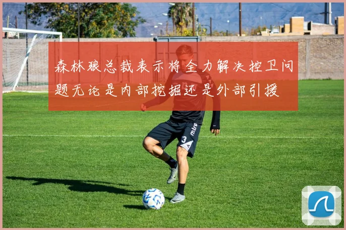 森林狼总裁表示将全力解决控卫问题无论是内部挖掘还是外部引援