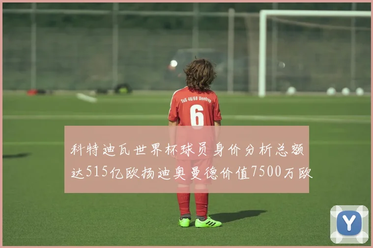 科特迪瓦世界杯球员身价分析总额达515亿欧扬迪奥曼德价值7500万欧