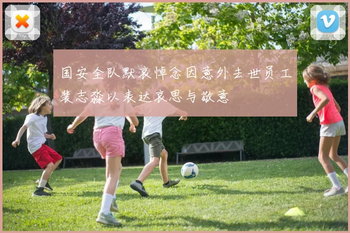 国安全队默哀悼念因意外去世员工裴志淼以表达哀思与敬意